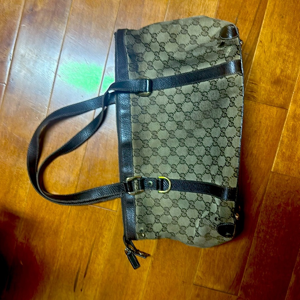 Gucci bag authentic
